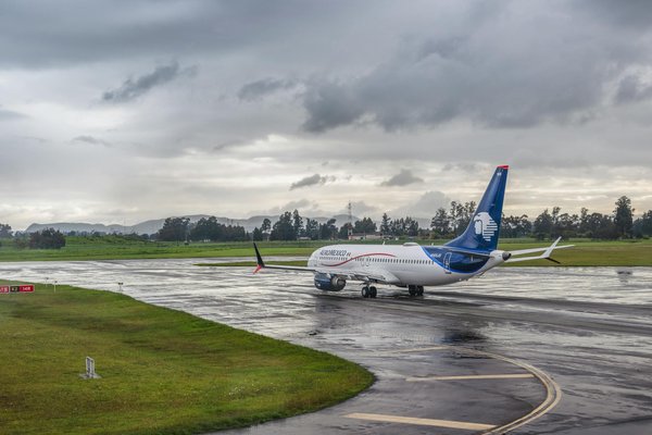 Discover birdwatching bliss: top spots in norfolk broads national park!