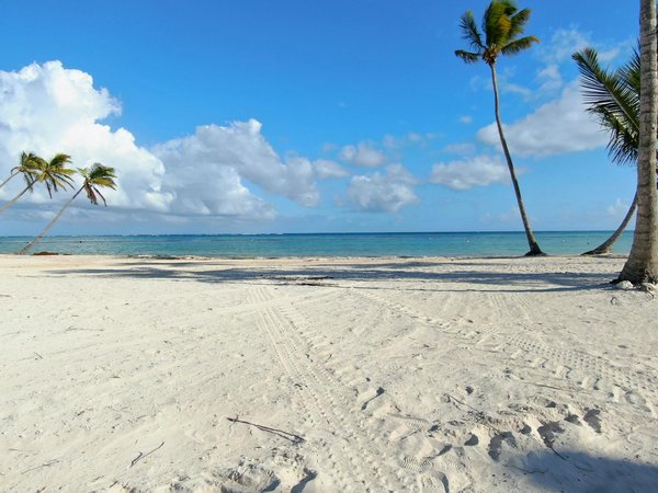 Uncover britain's best-kept secrets: the ultimate guide to booking tours of historic libraries